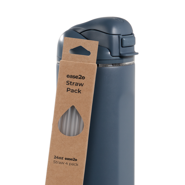 Ease2o Straws 4 Pack 24oz v2b